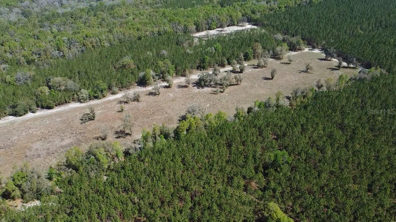 000 Sw Langelier Property Photo 30
