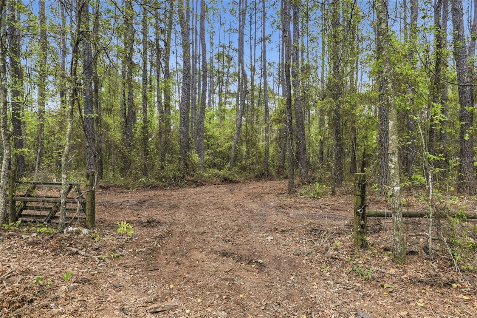 Nw County Road 231 Property Photo 10