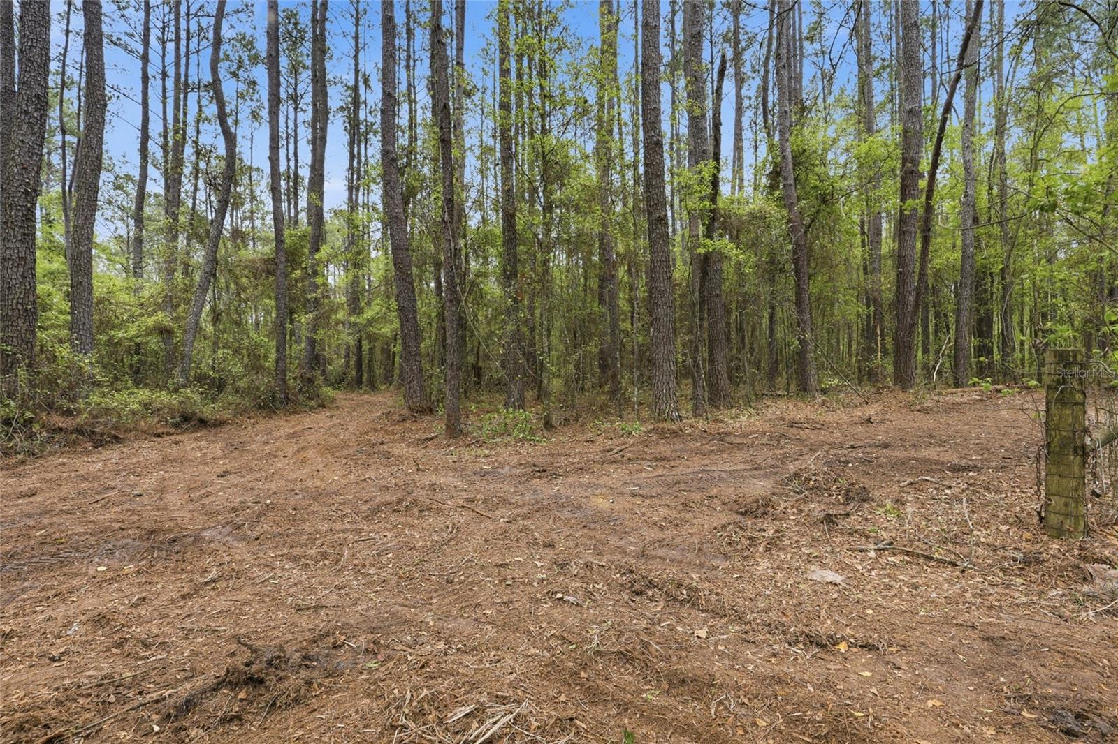Nw County Road 231 Property Photo 11