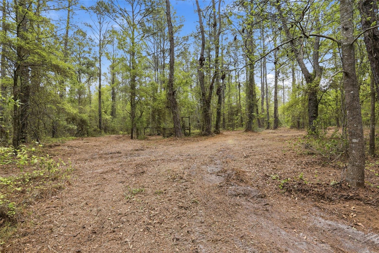 Nw County Road 231 Property Photo 13