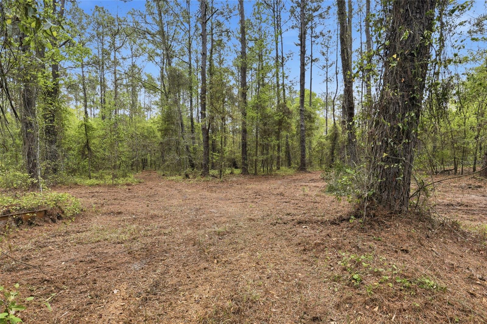 Nw County Road 231 Property Photo 14