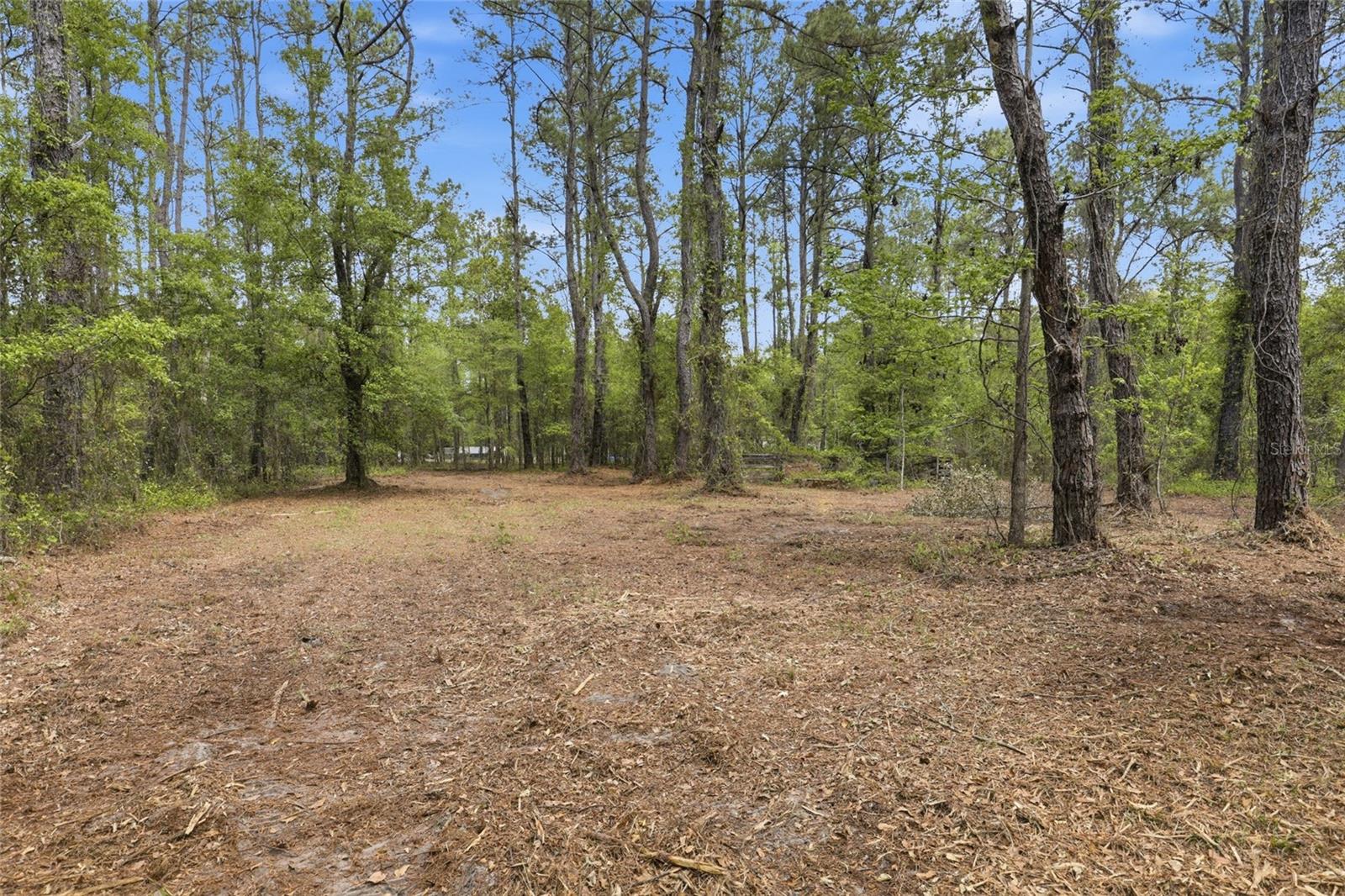 Nw County Road 231 Property Photo 17
