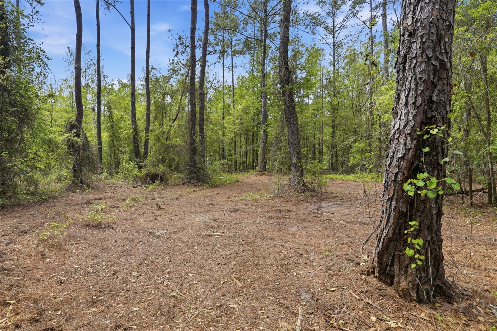 Nw County Road 231 Property Photo 18