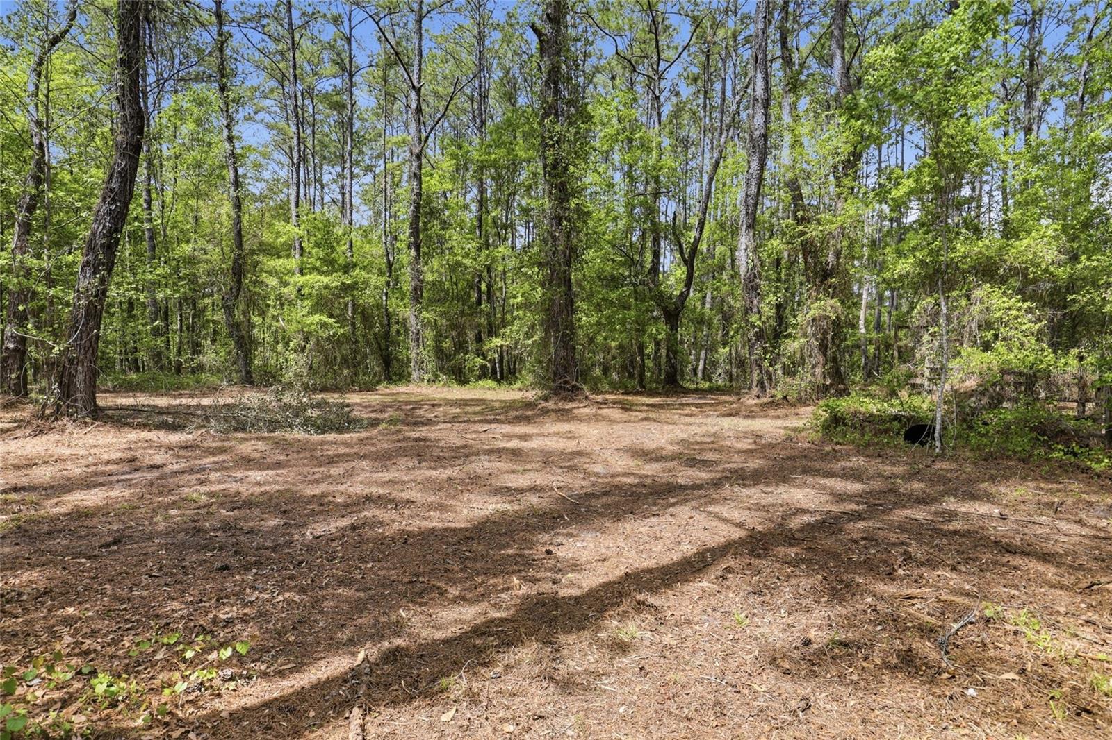 Nw County Road 231 Property Photo 19