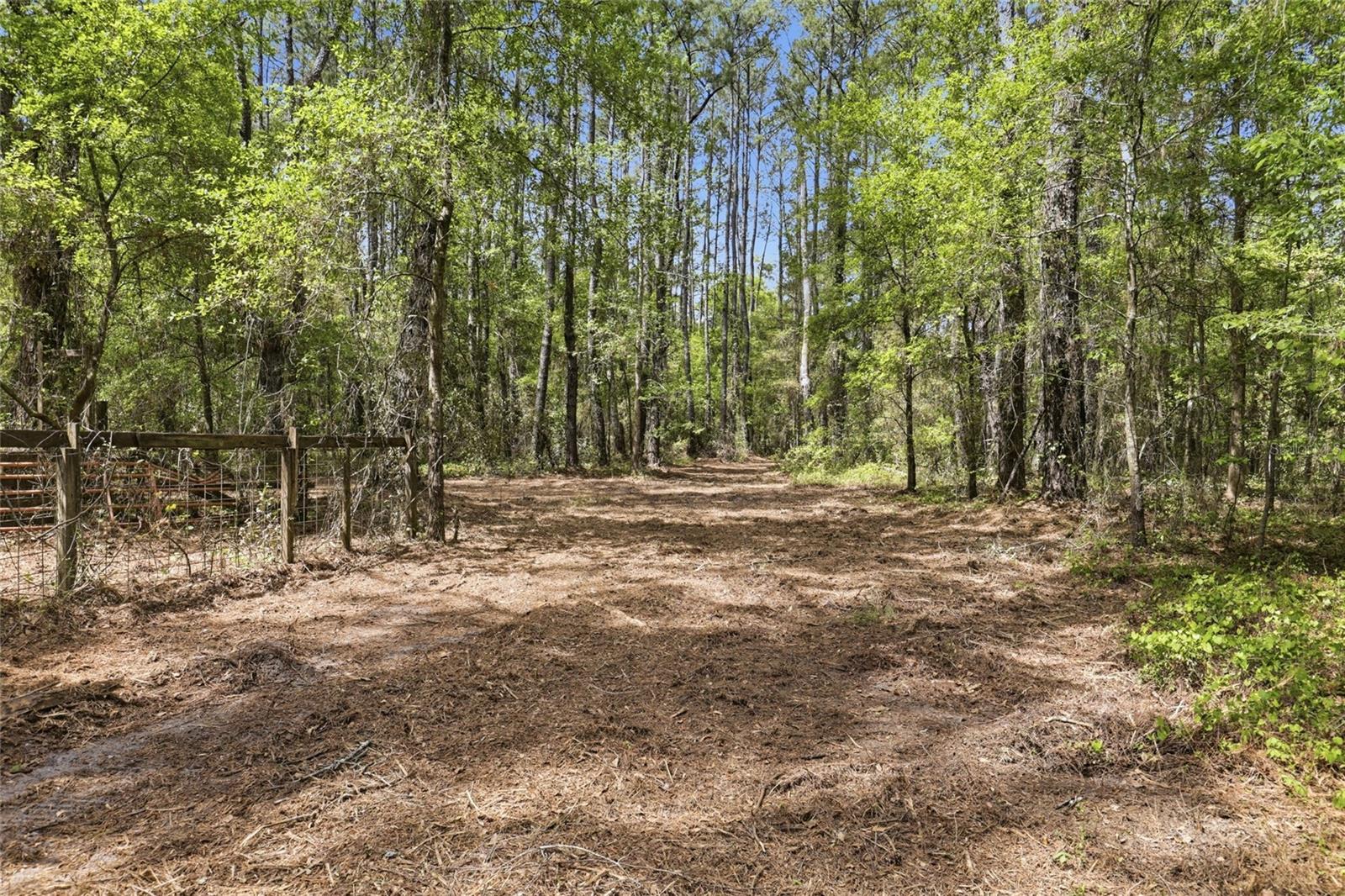 Nw County Road 231 Property Photo 20