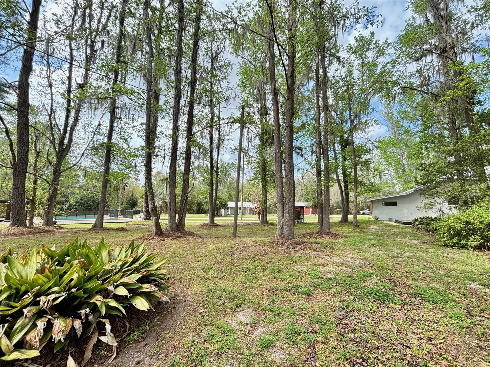 18917 Nw County Road 239 Property Photo 5