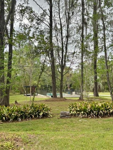 18917 Nw County Road 239 Property Photo 50