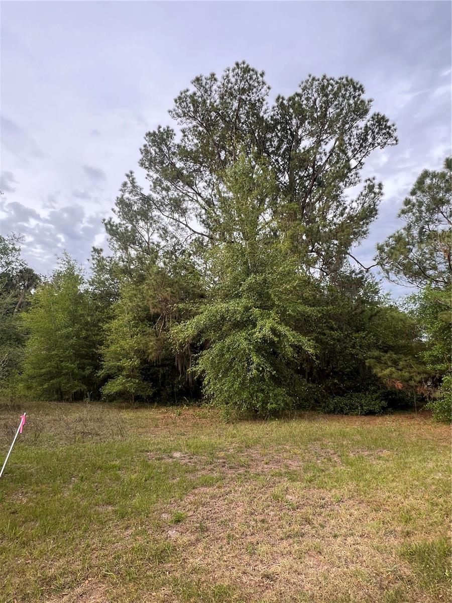 Avenue G Property Photo 2