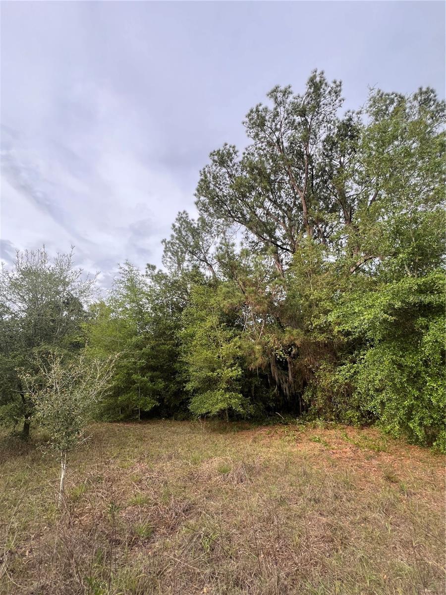 Avenue G Property Photo 3