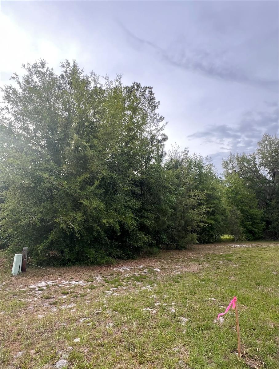 Avenue G Property Photo 4