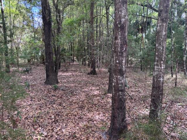 1.77 Acres Nw 73 St Property Photo 1