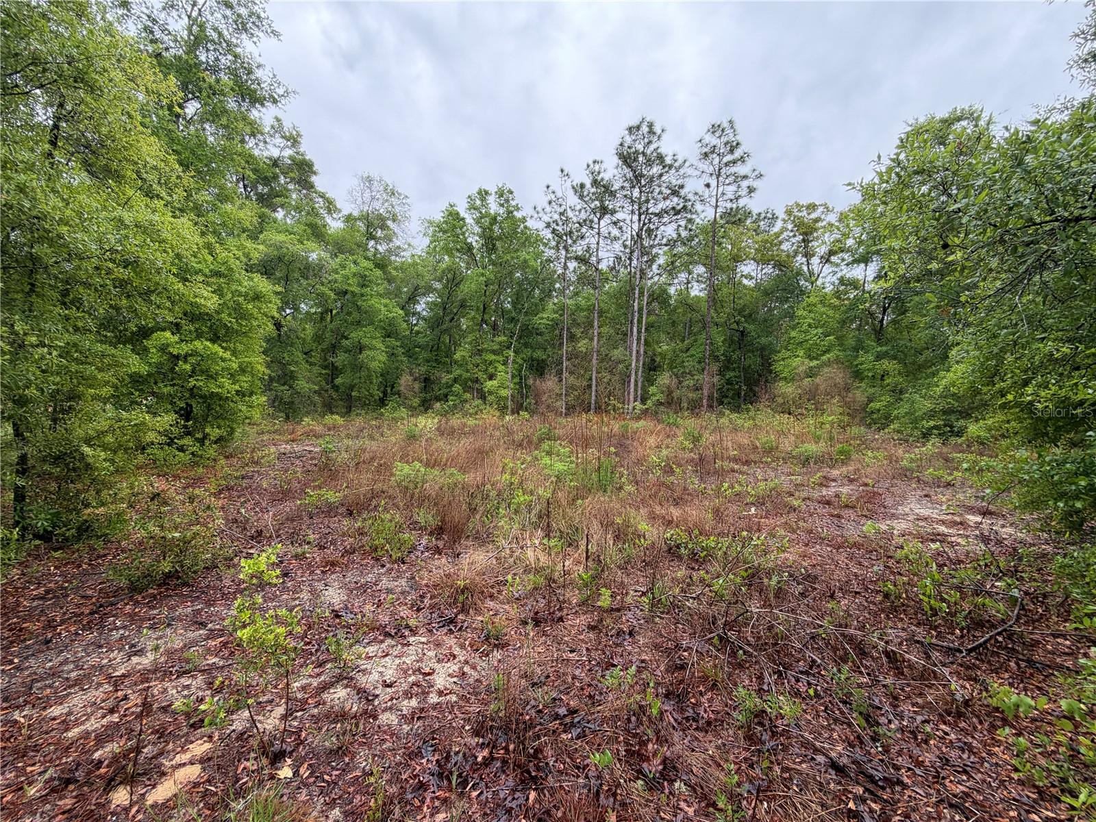 301 RAINBOW DR Property Photo 1