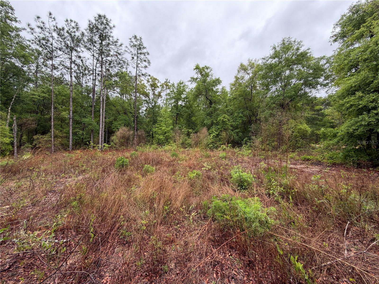 301 Rainbow Dr Property Photo 4
