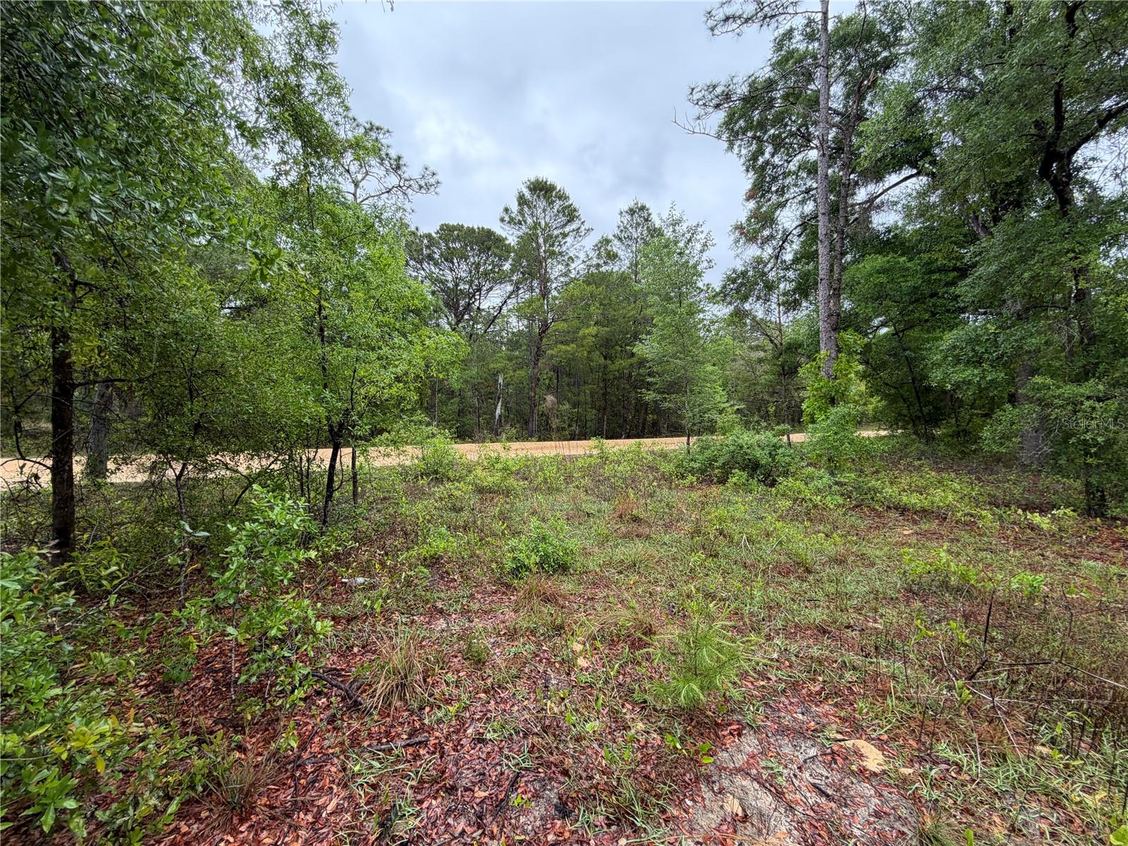 301 Rainbow Dr Property Photo 5