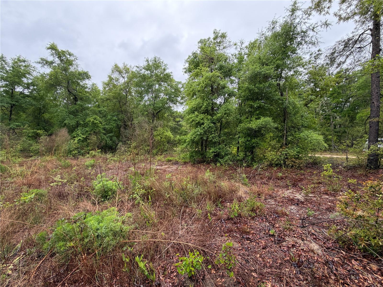 301 Rainbow Dr Property Photo 6