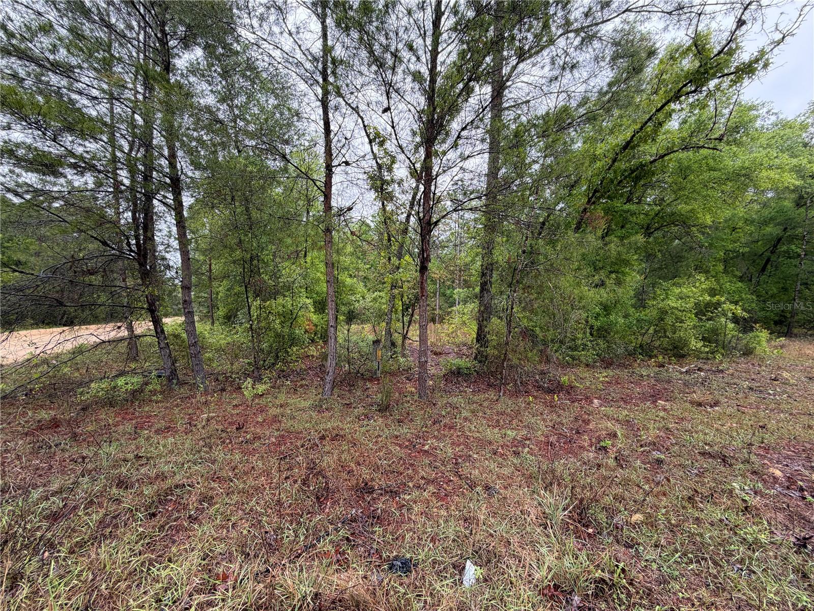 301 Rainbow Dr Property Photo 8