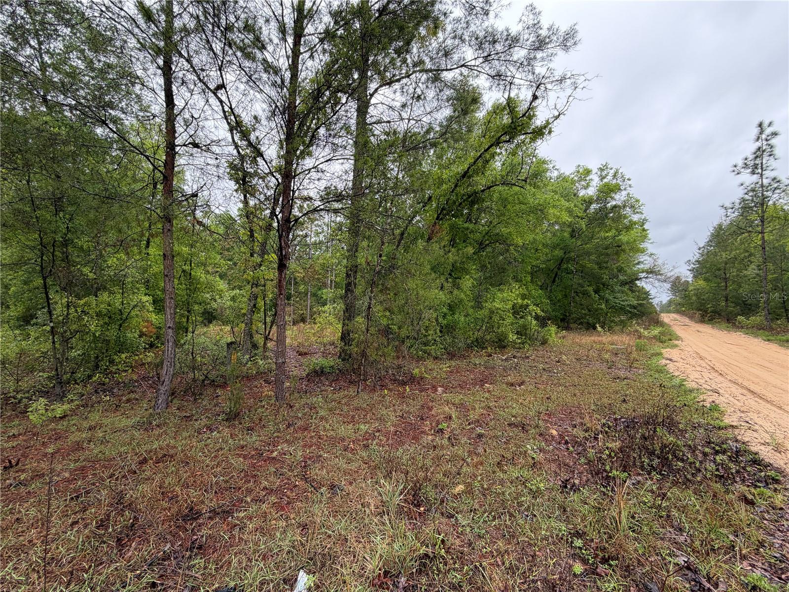 301 Rainbow Dr Property Photo 9