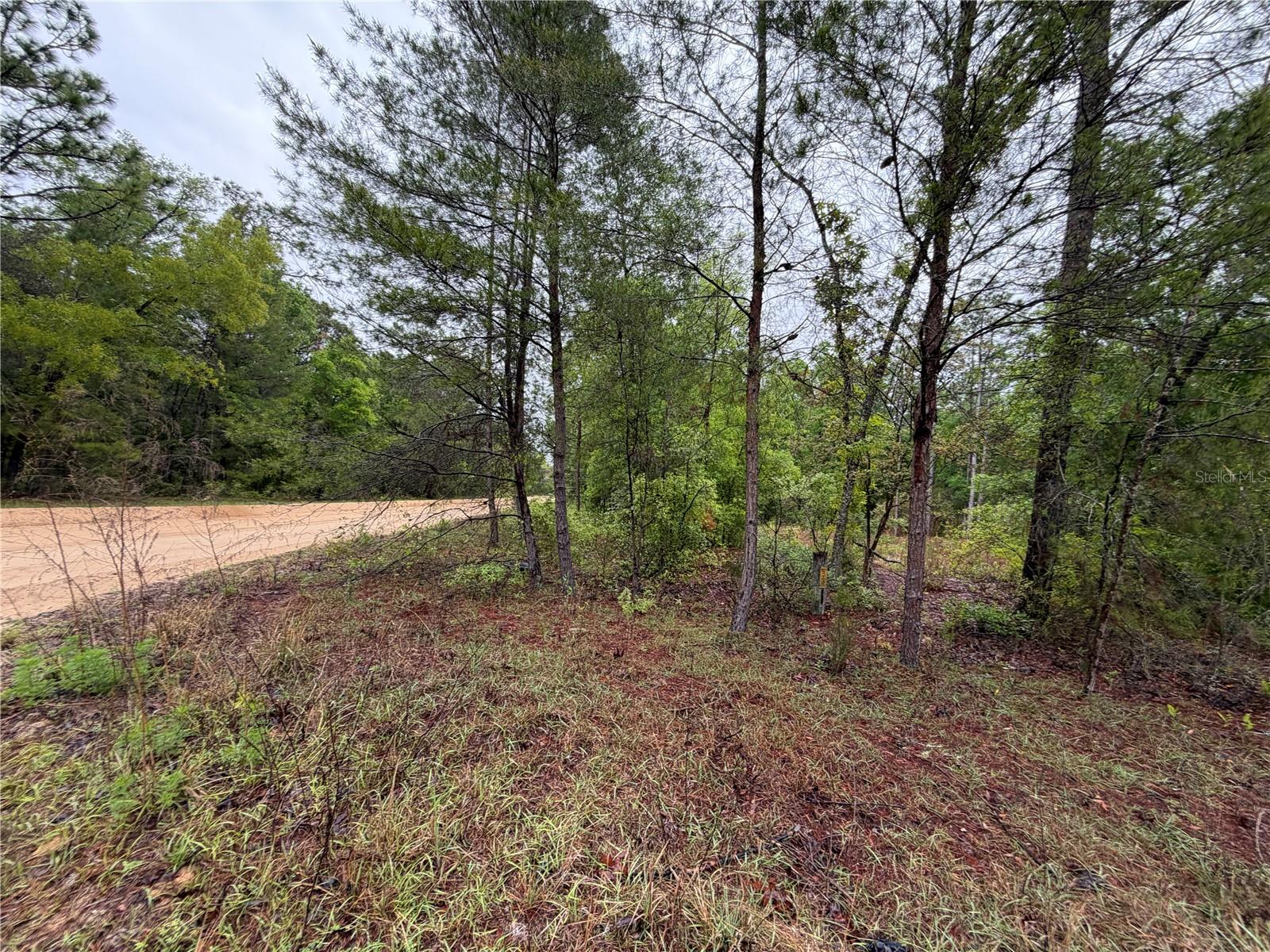 301 Rainbow Dr Property Photo 10