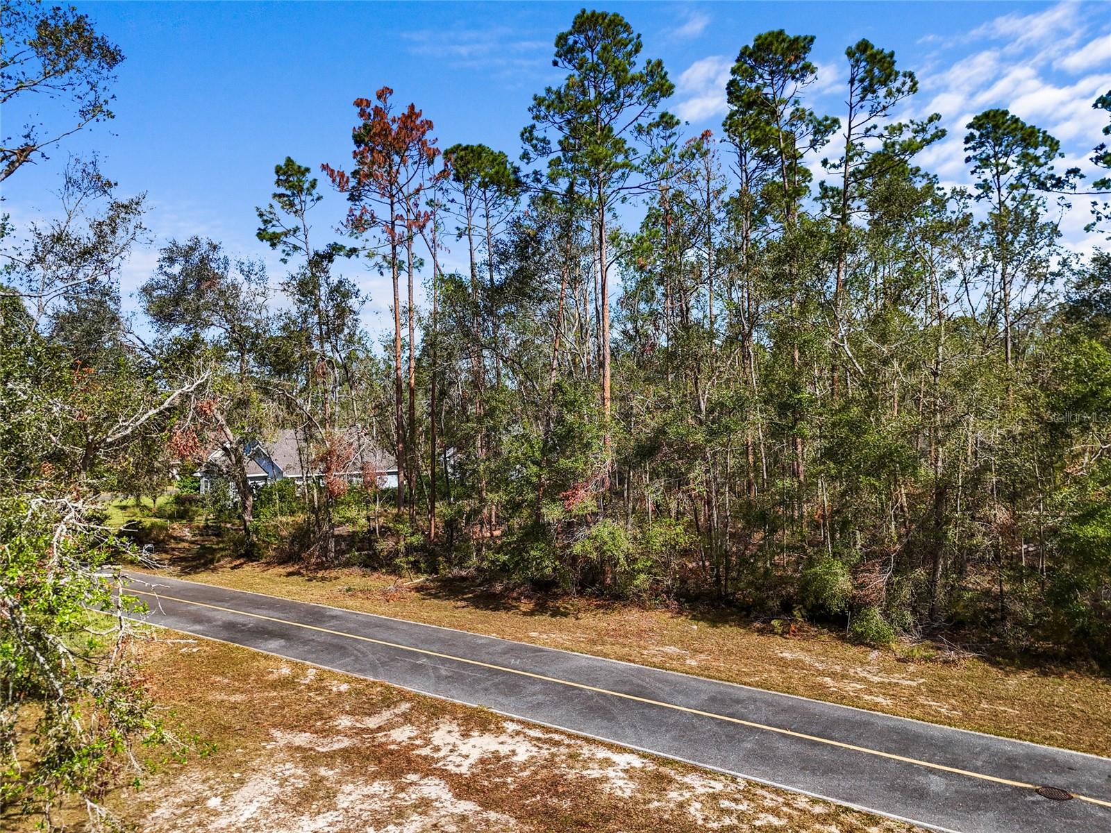 Tbd Wildwood Dr Property Photo 6