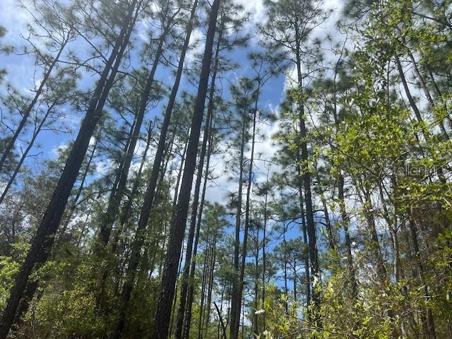 181 Whirlwind Loop Property Photo 1
