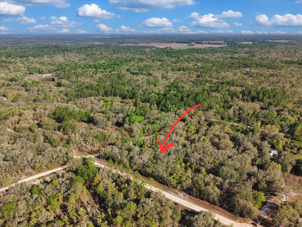 Lot 362 Ne 82nd Pl Property Photo 2