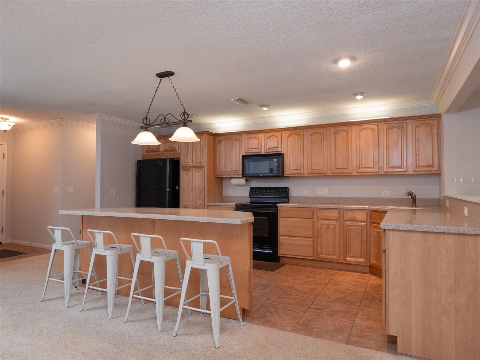 8491 Lilly Lake Rd Property Photo 33
