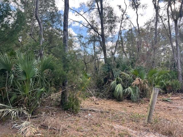 65 Se 153 Ave Property Photo 21