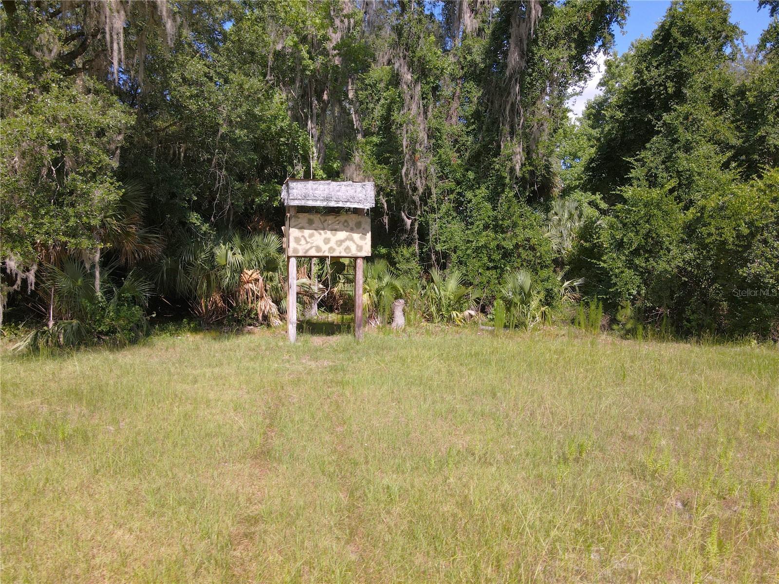 11804 Se County Road 234 Property Photo 17