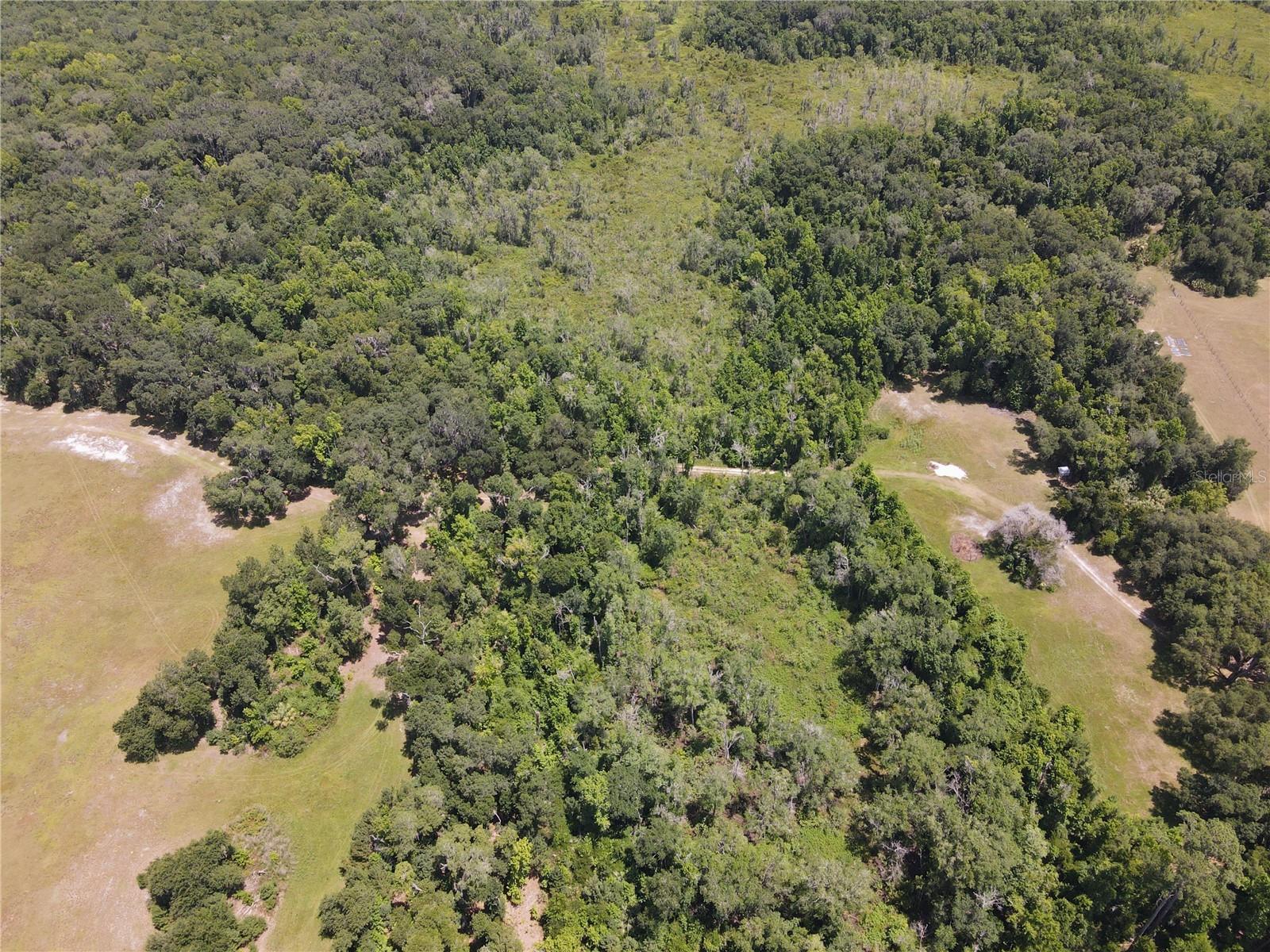 11804 Se County Road 234 Property Photo 48