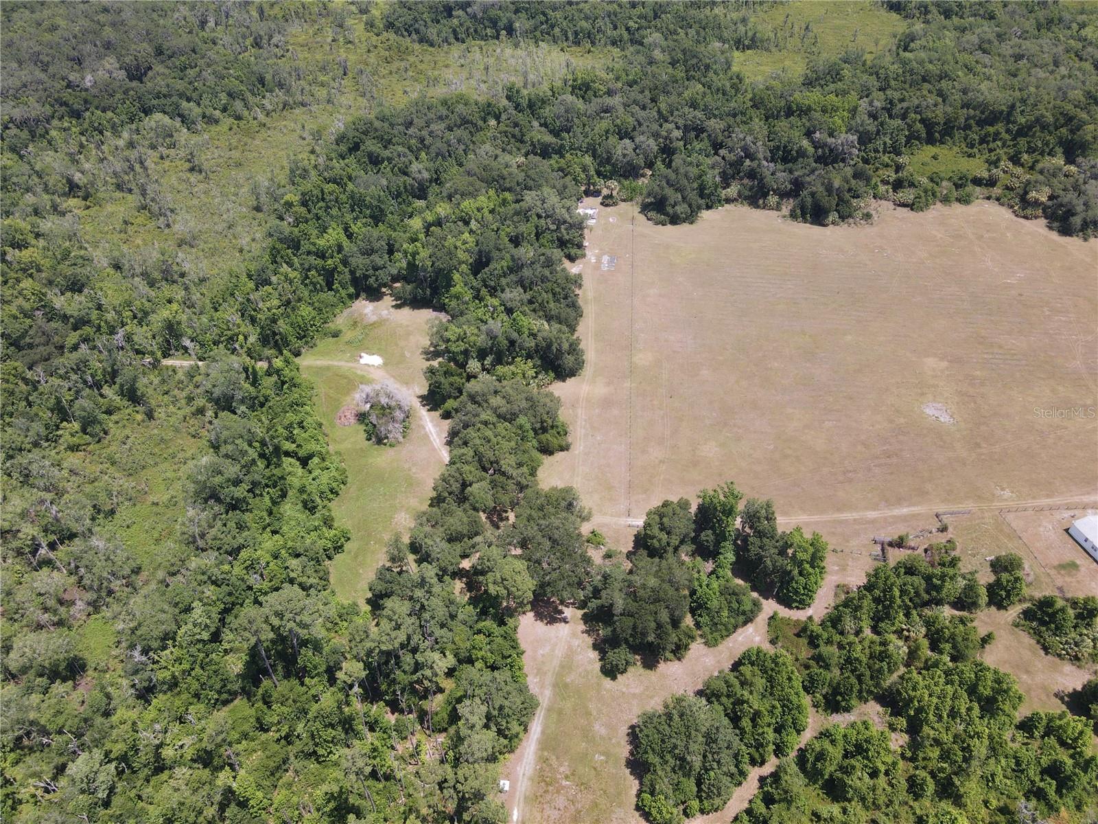 11804 Se County Road 234 Property Photo 50