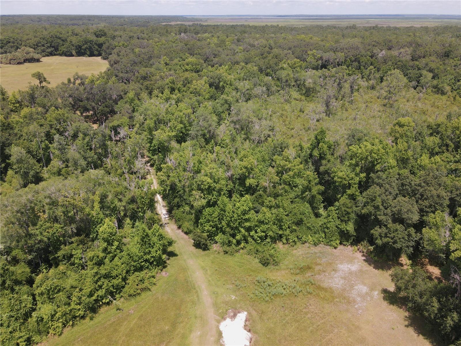 11804 Se County Road 234 Property Photo 53