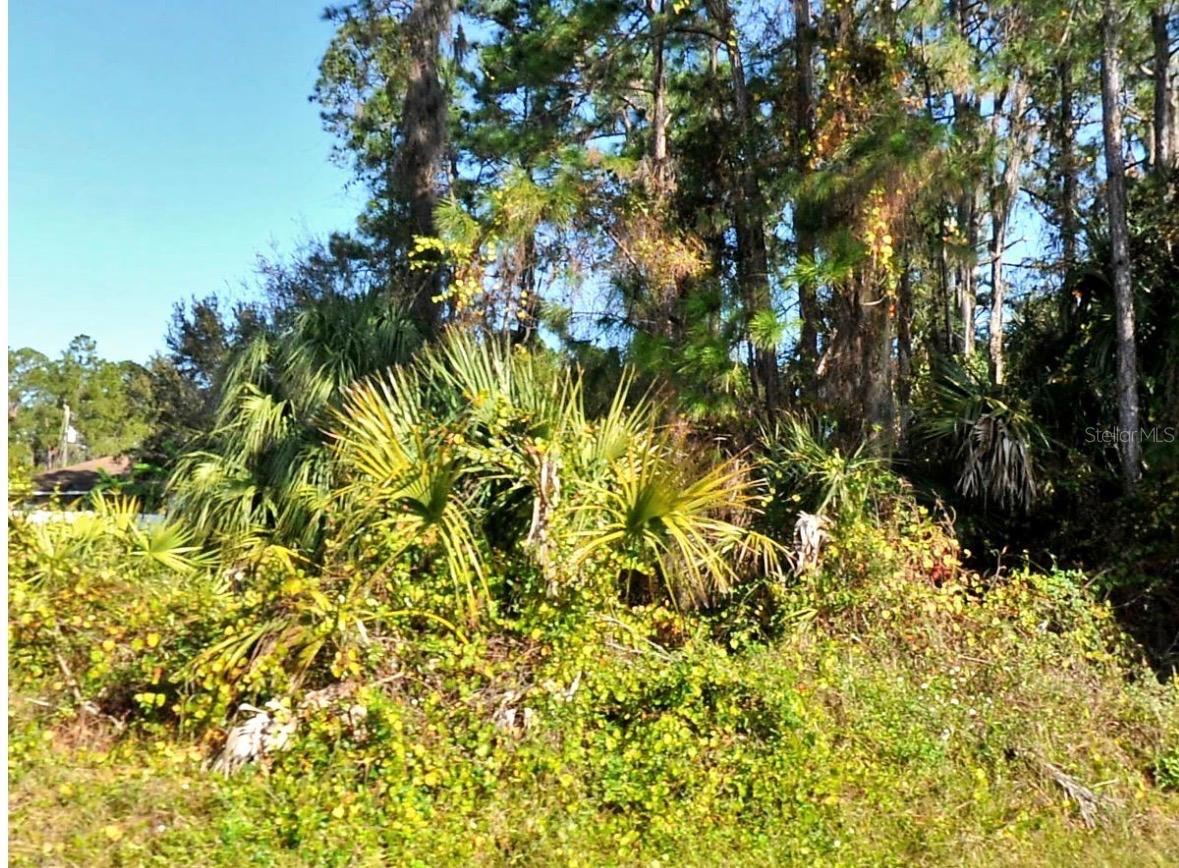 Zambrana Ave Property Photo 1