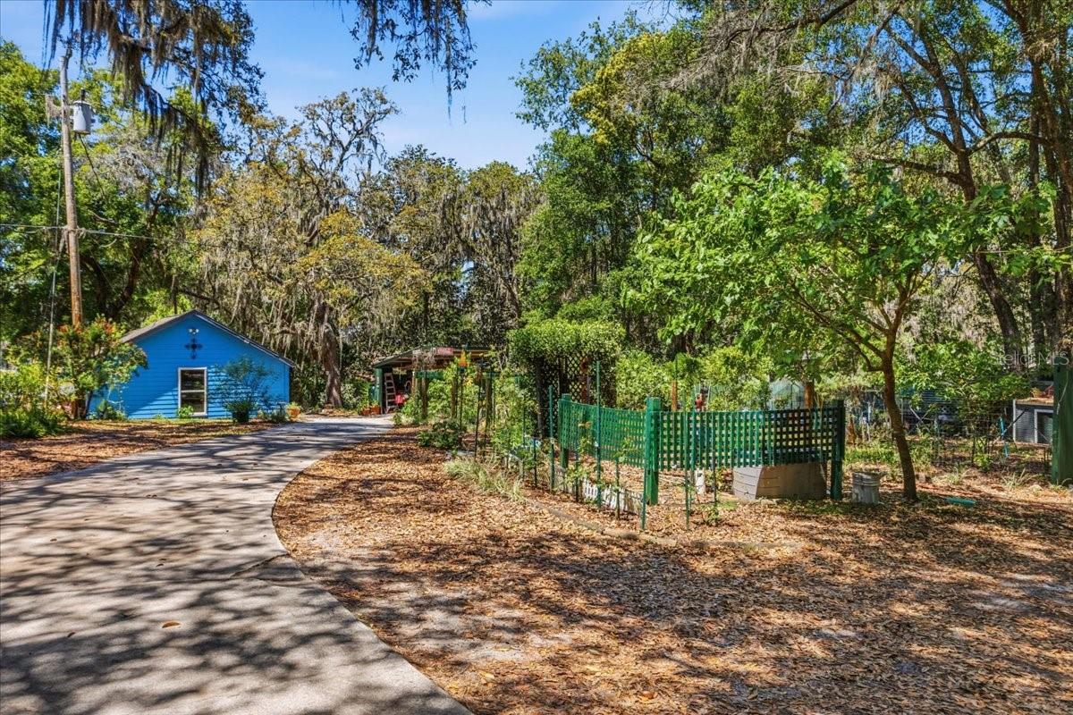 8386 Austin Rd Property Photo 59