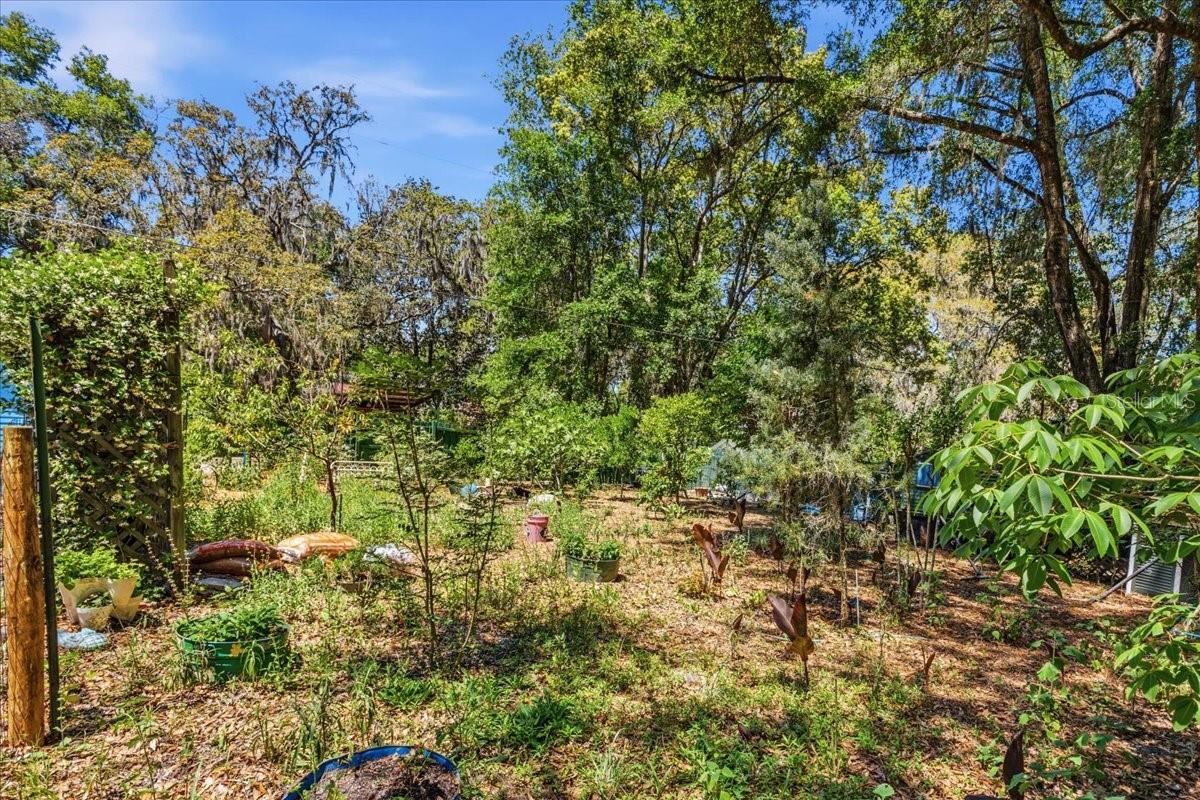 8386 Austin Rd Property Photo 66