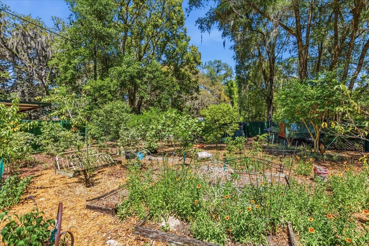 8386 Austin Rd Property Photo 67