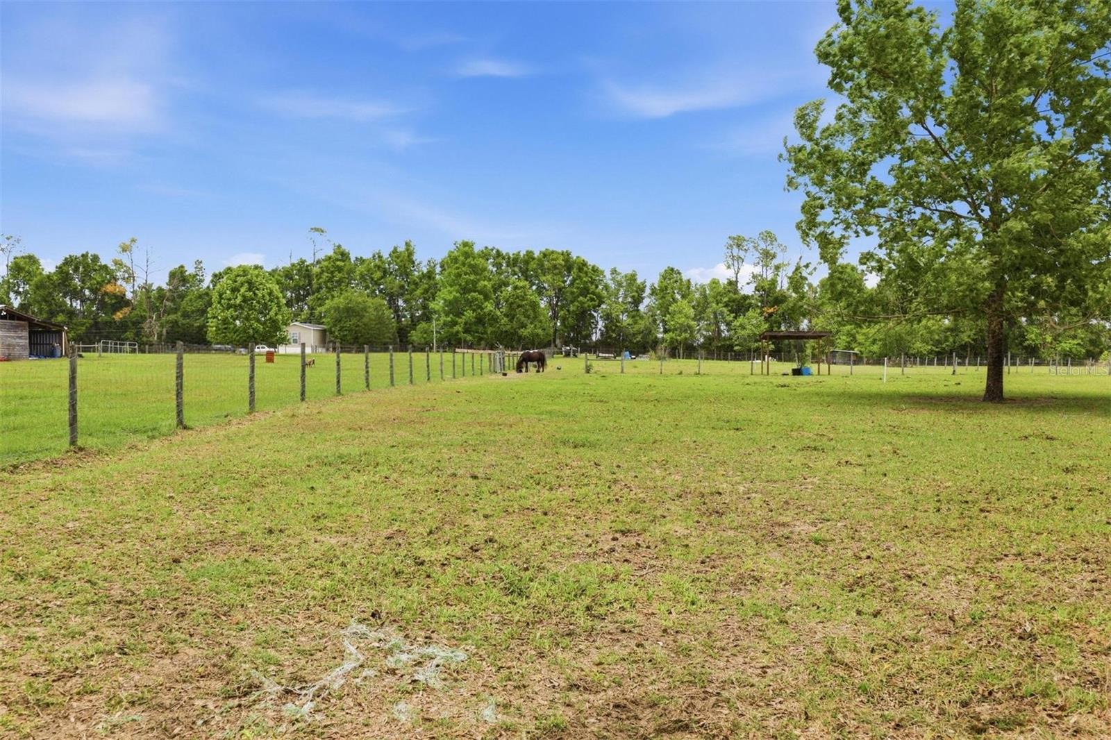 3460 Se County Road 337 Property Photo 58