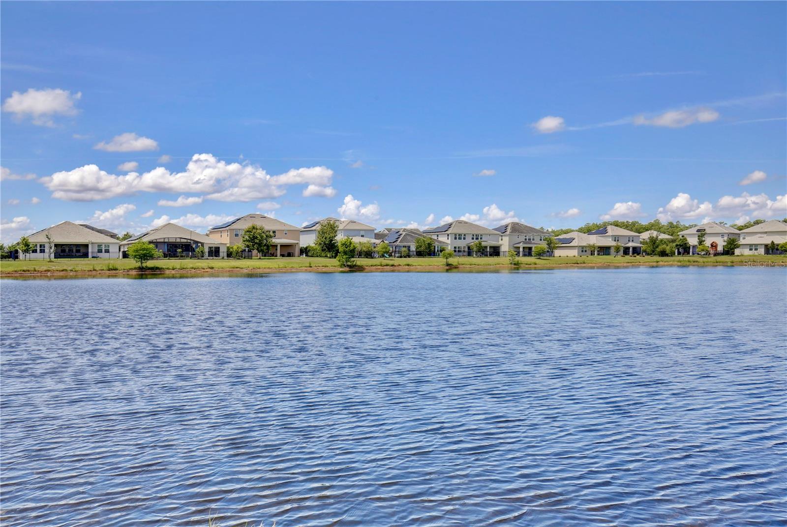 11341 Satire St Property Photo 38
