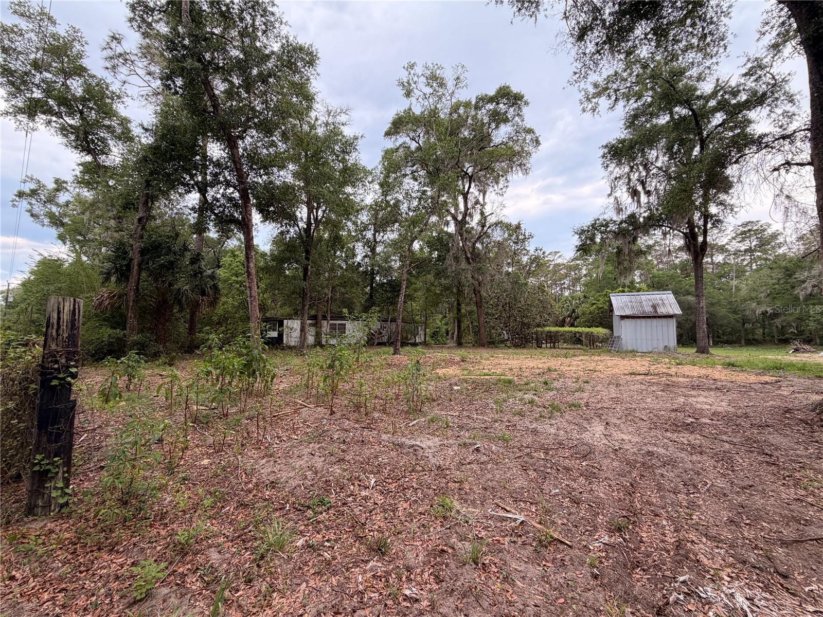 117 Breezy Oak Ln Property Photo 3
