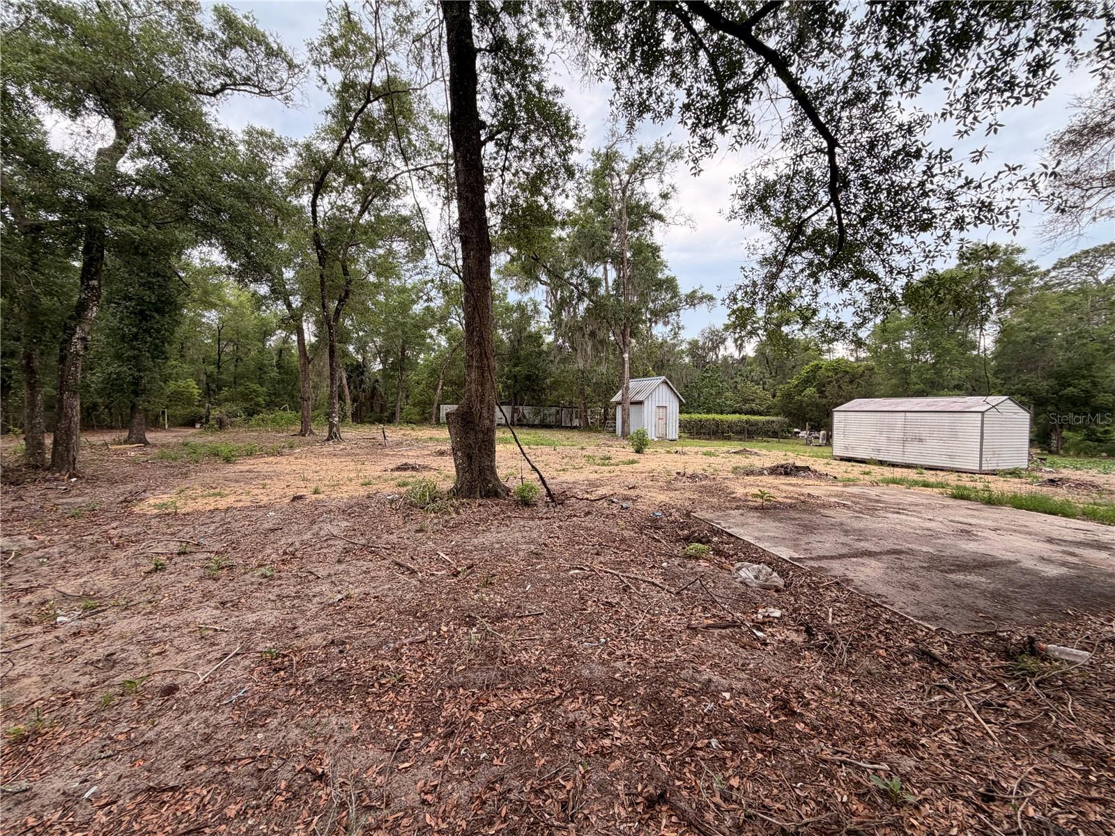 117 Breezy Oak Ln Property Photo 7