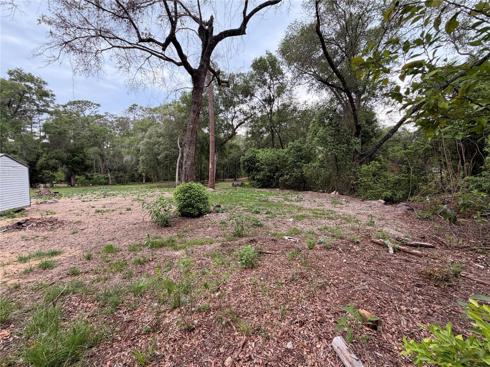 117 Breezy Oak Ln Property Photo 8