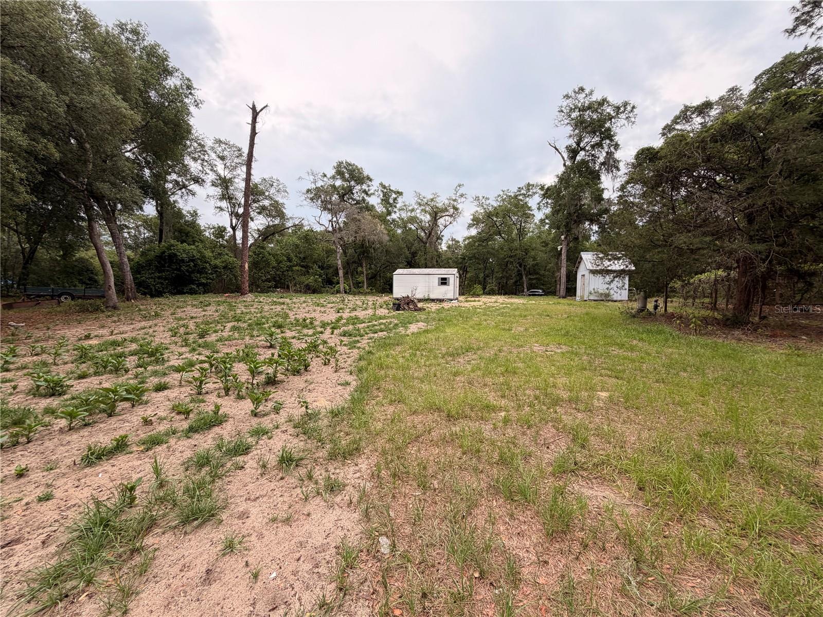 117 Breezy Oak Ln Property Photo 10
