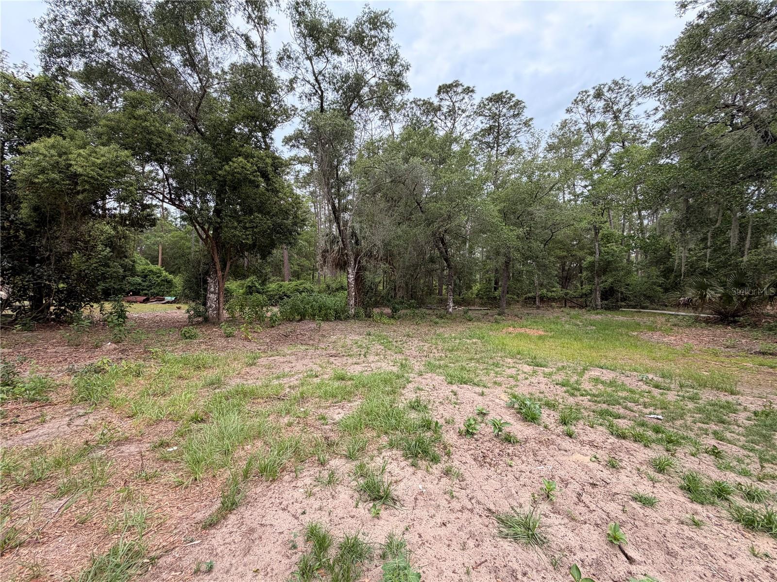 117 Breezy Oak Ln Property Photo 11
