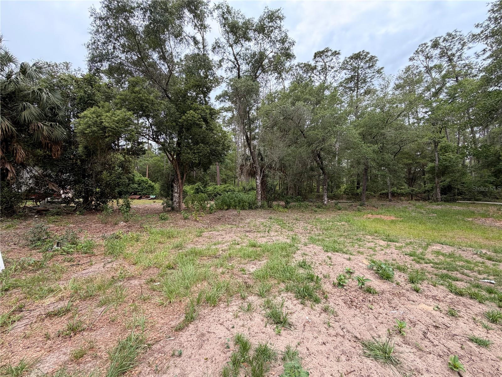 117 Breezy Oak Ln Property Photo 12