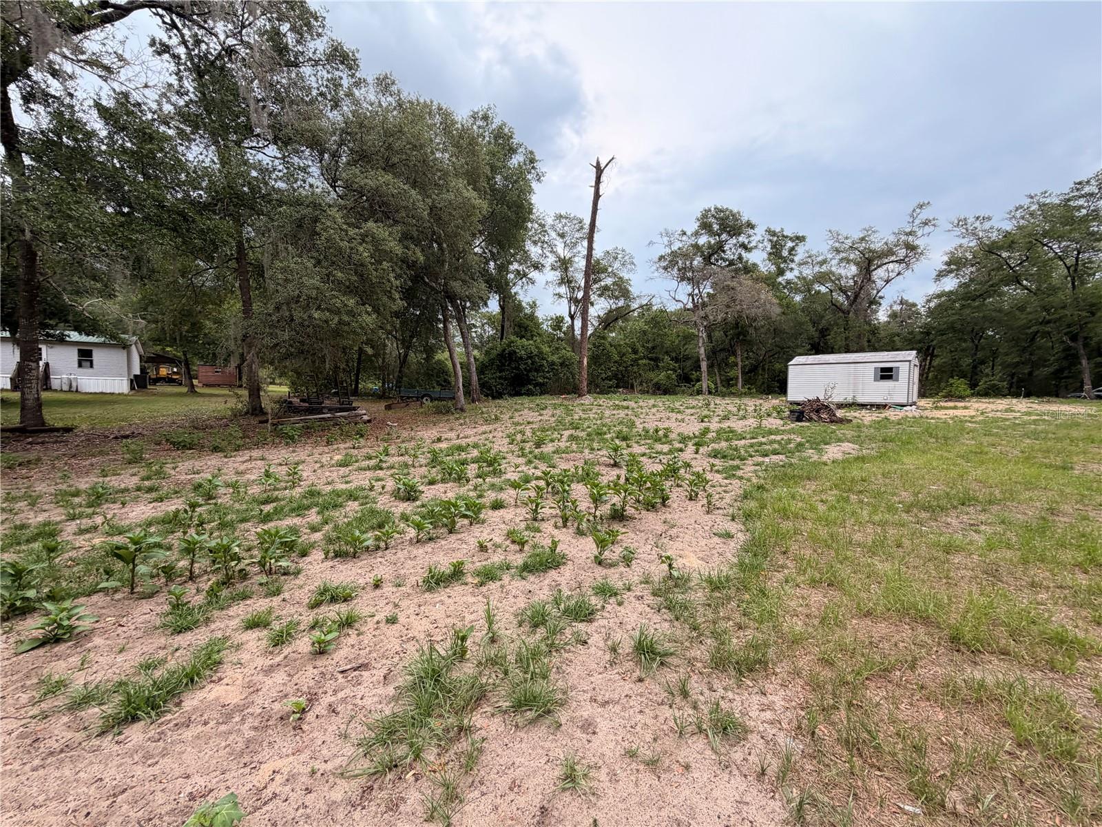 117 Breezy Oak Ln Property Photo 13