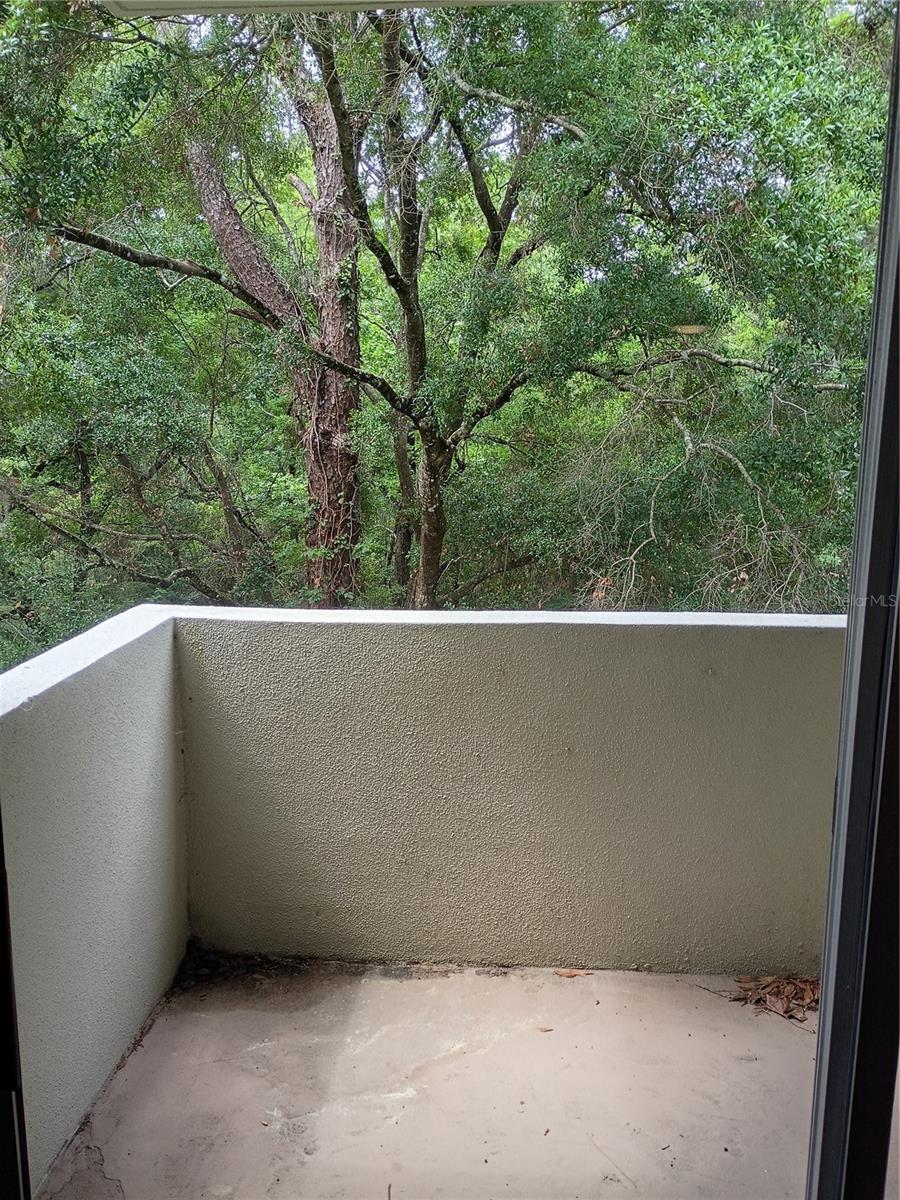 GC540244 Property Photo 24