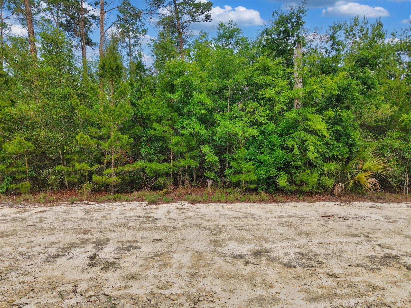 Savanna Ln Property Photo 3