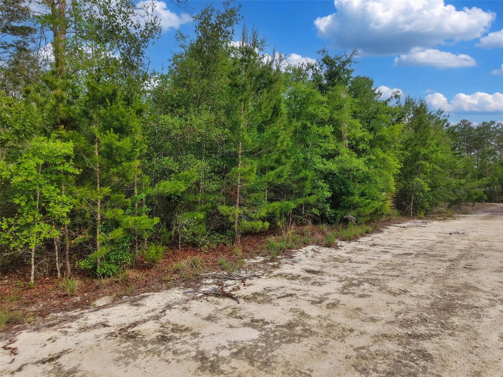 Savanna Ln Property Photo 6