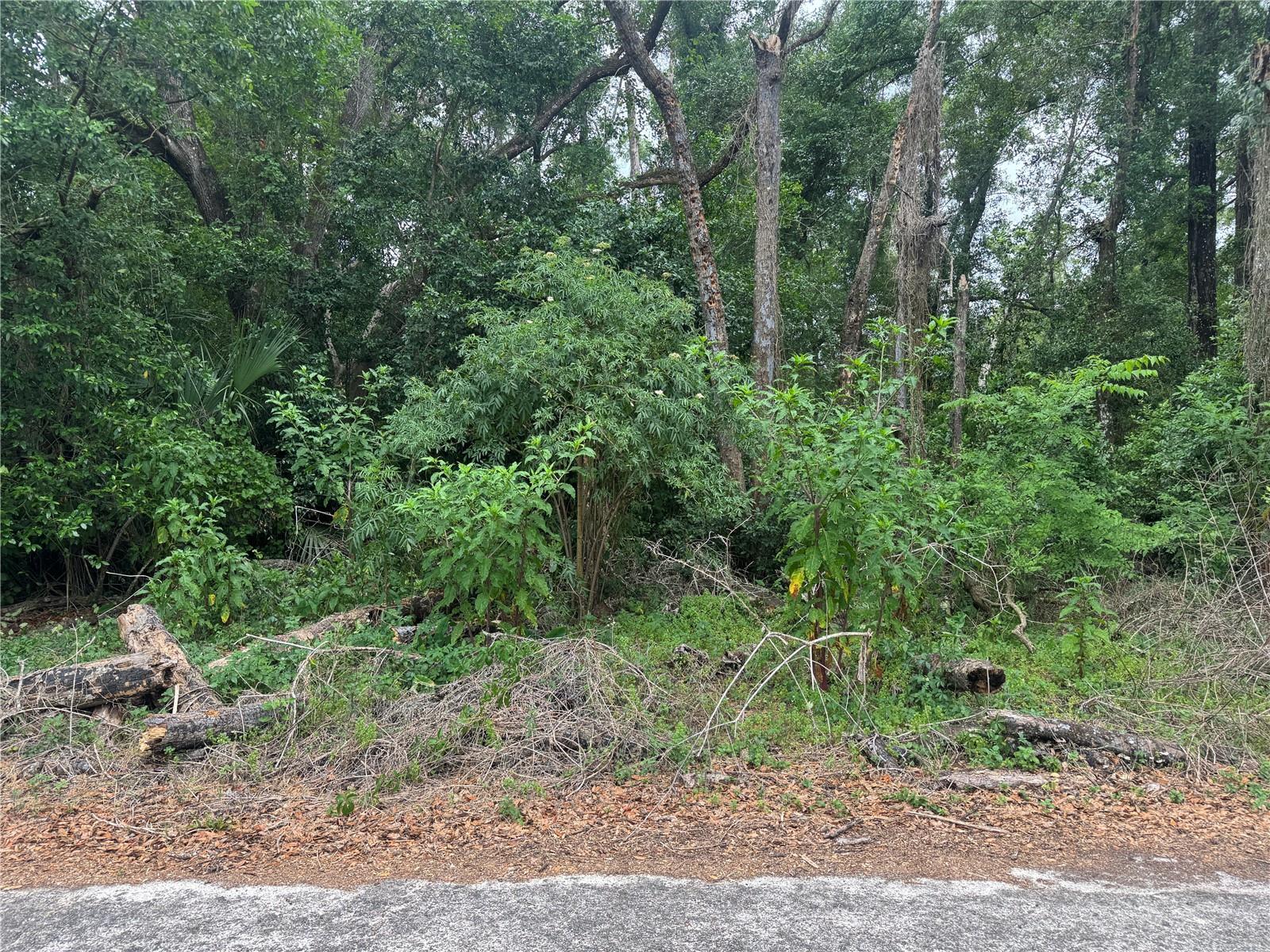 3638 E Lee Dr Property Photo 2
