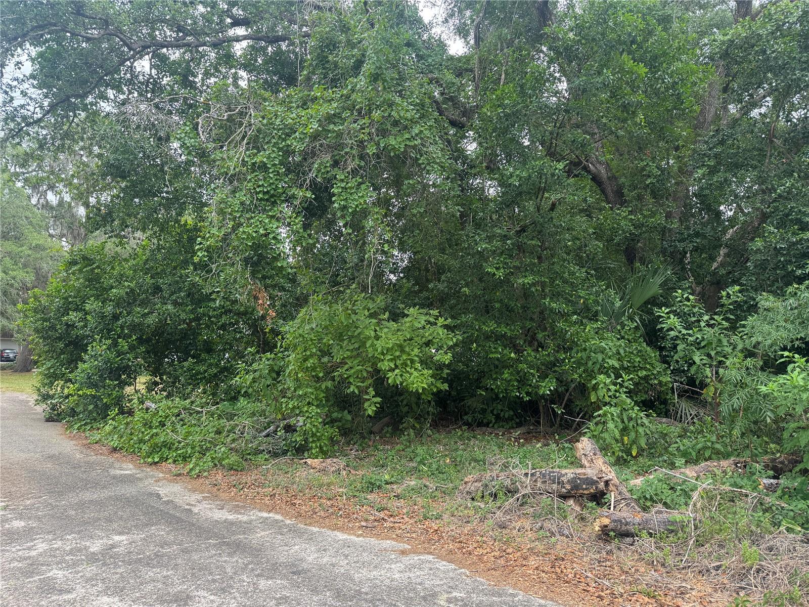 3638 E Lee Dr Property Photo 4