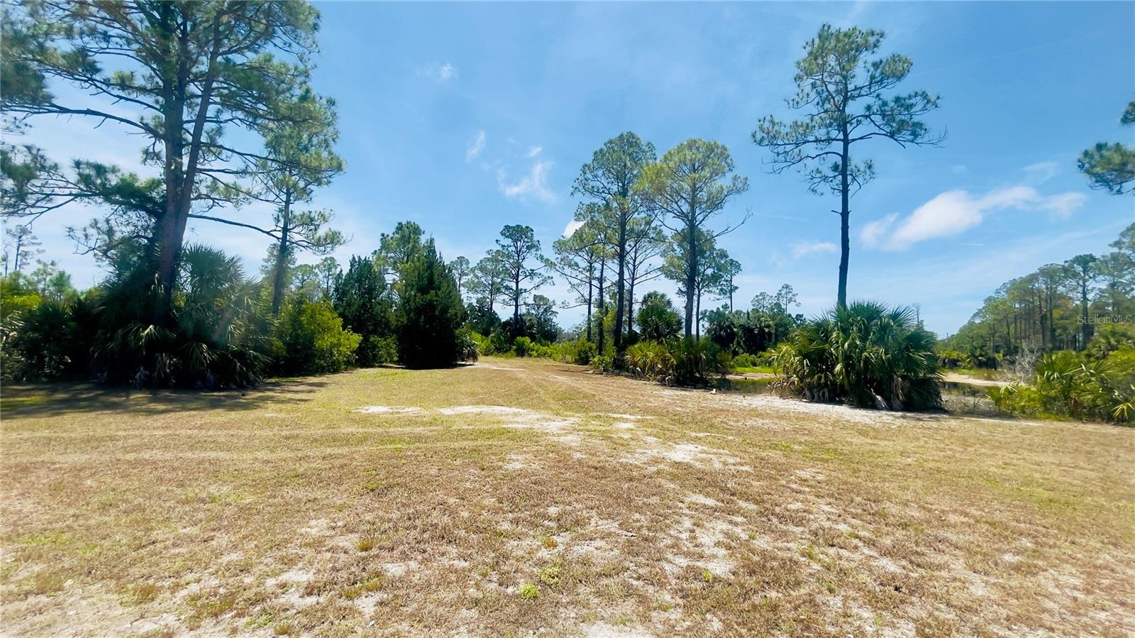 Tbd Sw 101st Ln Property Photo 1